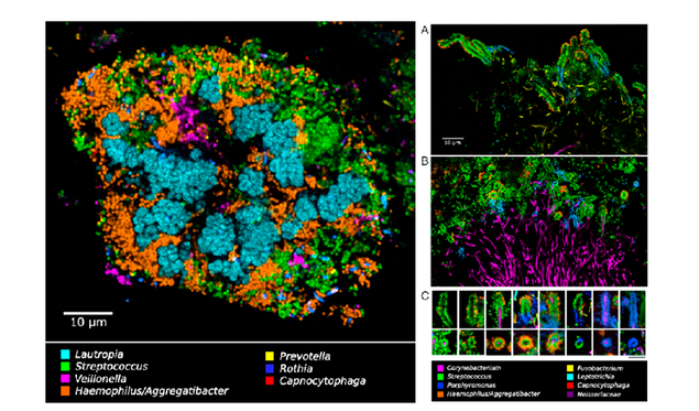 1625715286343333.png 图片.png